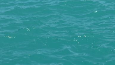 tranquil blue ocean waves at sea