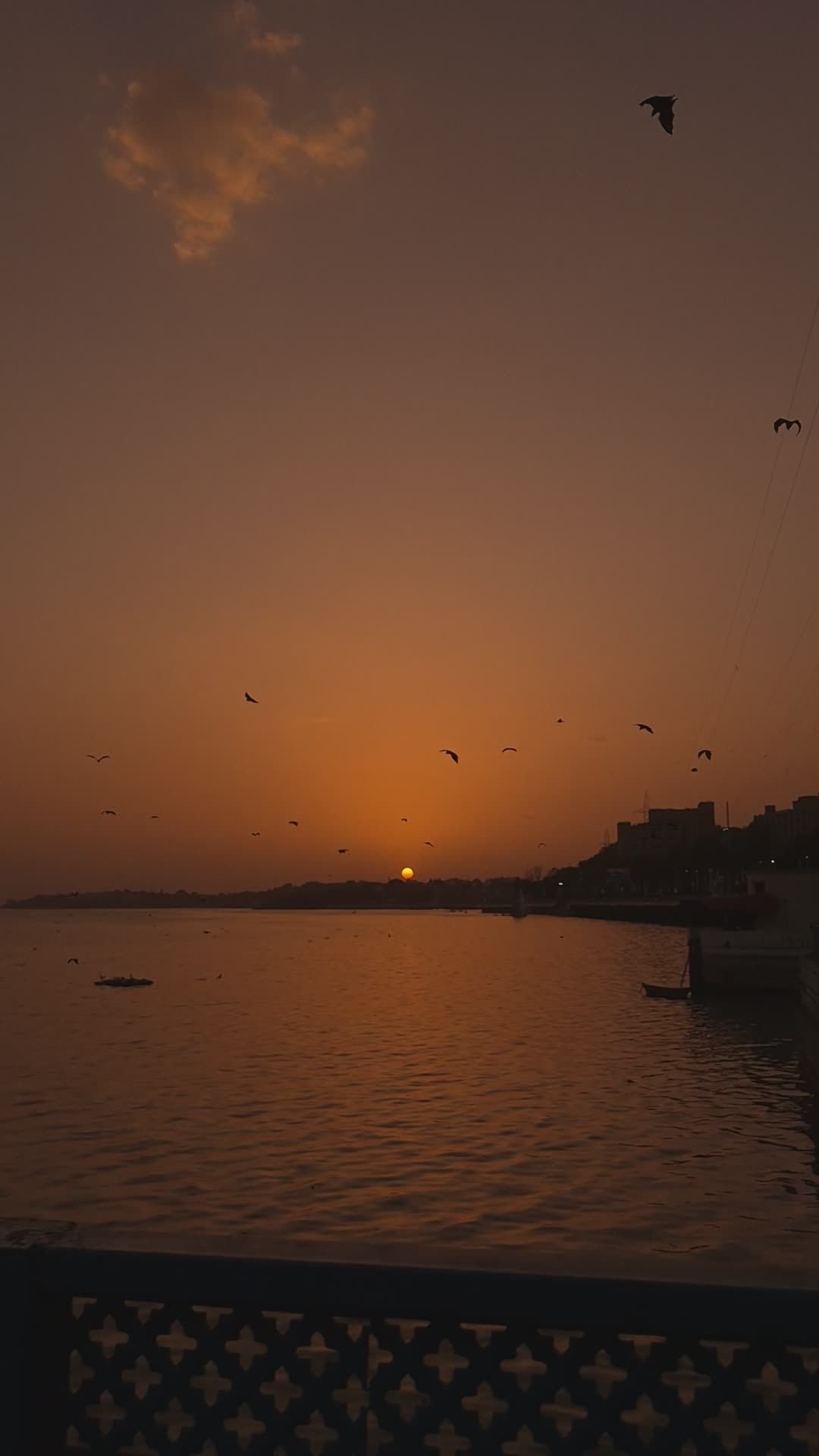 Serene Sunset Over Calm Waters with Birds Free Stock Video Footage ...