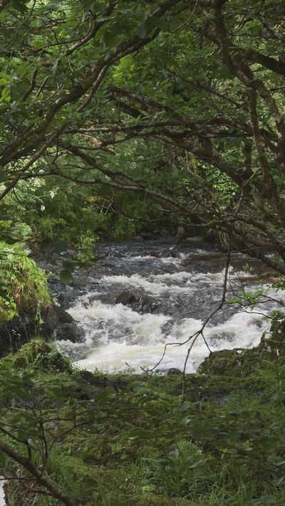 Anna Lupa's nature timelapse video
