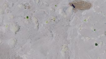 盐视频素材