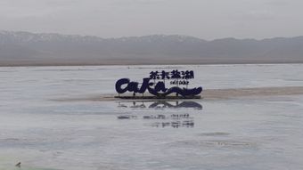 泽普县免费下载高清视频高清视频视频素材