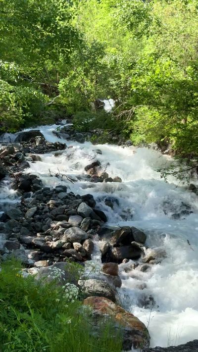 Gaetan THURIN's nature timelapse video