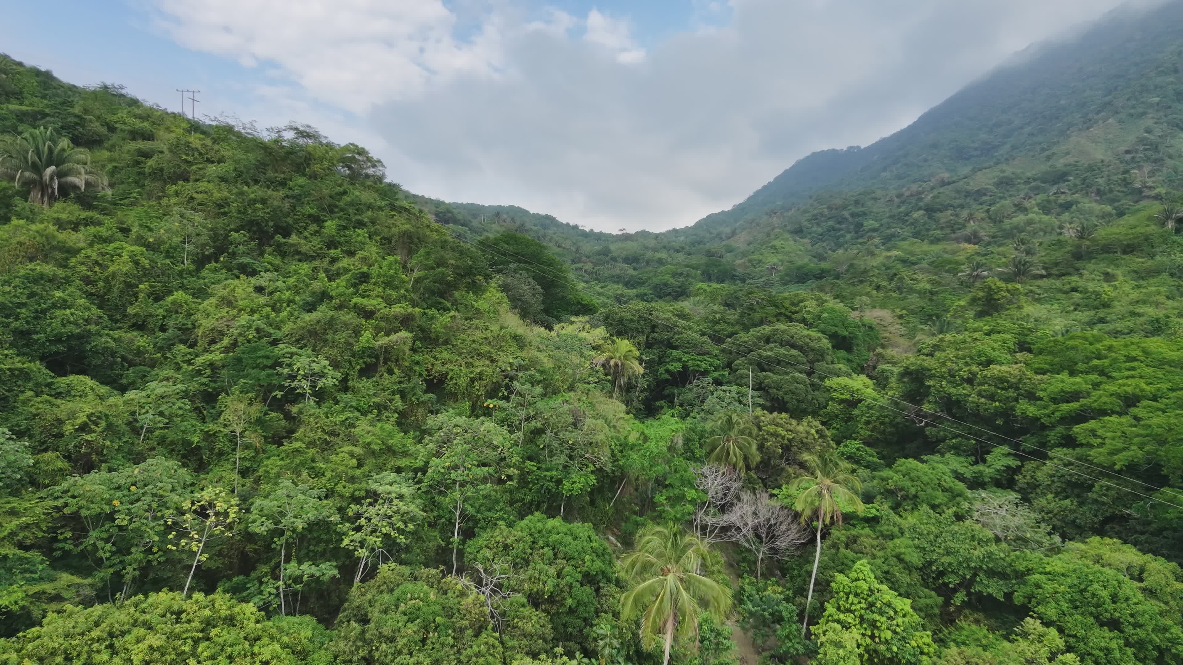 Lush Tropical Rainforest Aerial View Free Stock Video Footage, Royalty ...