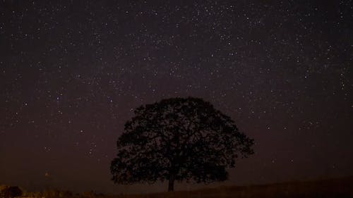 Time Lapse of the Night Sky