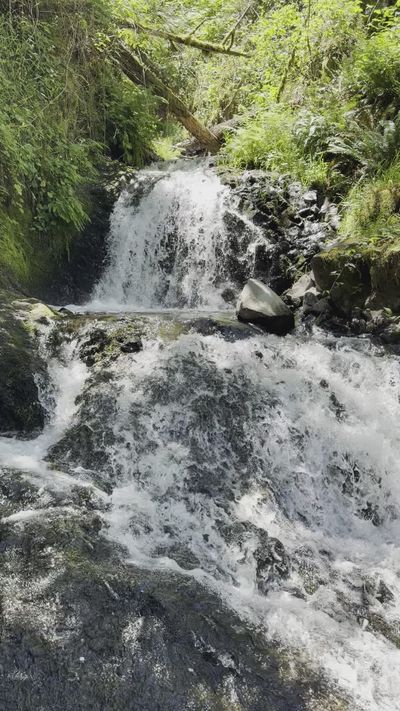 Buckey Denton's nature timelapse video