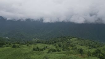 泰山视频素材免费下载高清视频免费下载视频素材