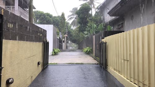 Rain Falling in a Driveway