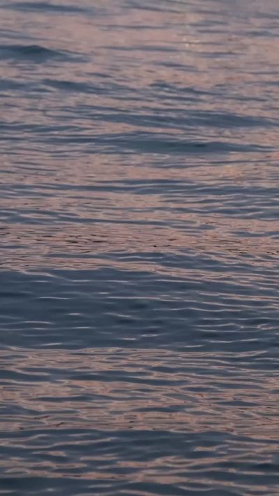 Çağrı KANMAZ's ocean waves sunset video