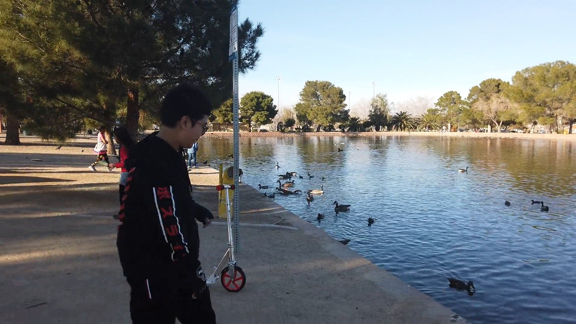 Bird Scooter Videos, Download The BEST Free 4k Stock Video Footage