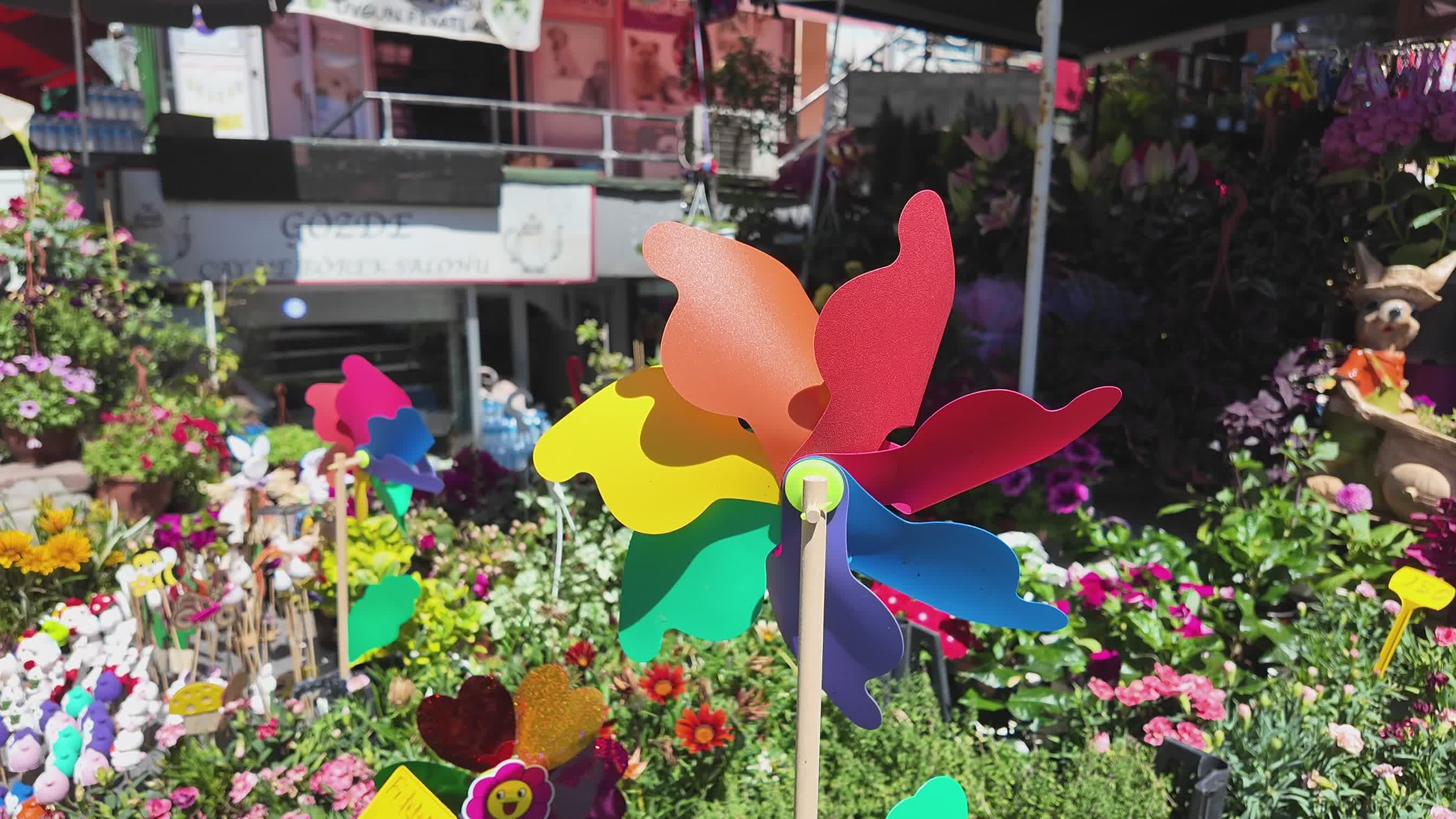 Flower Shop video