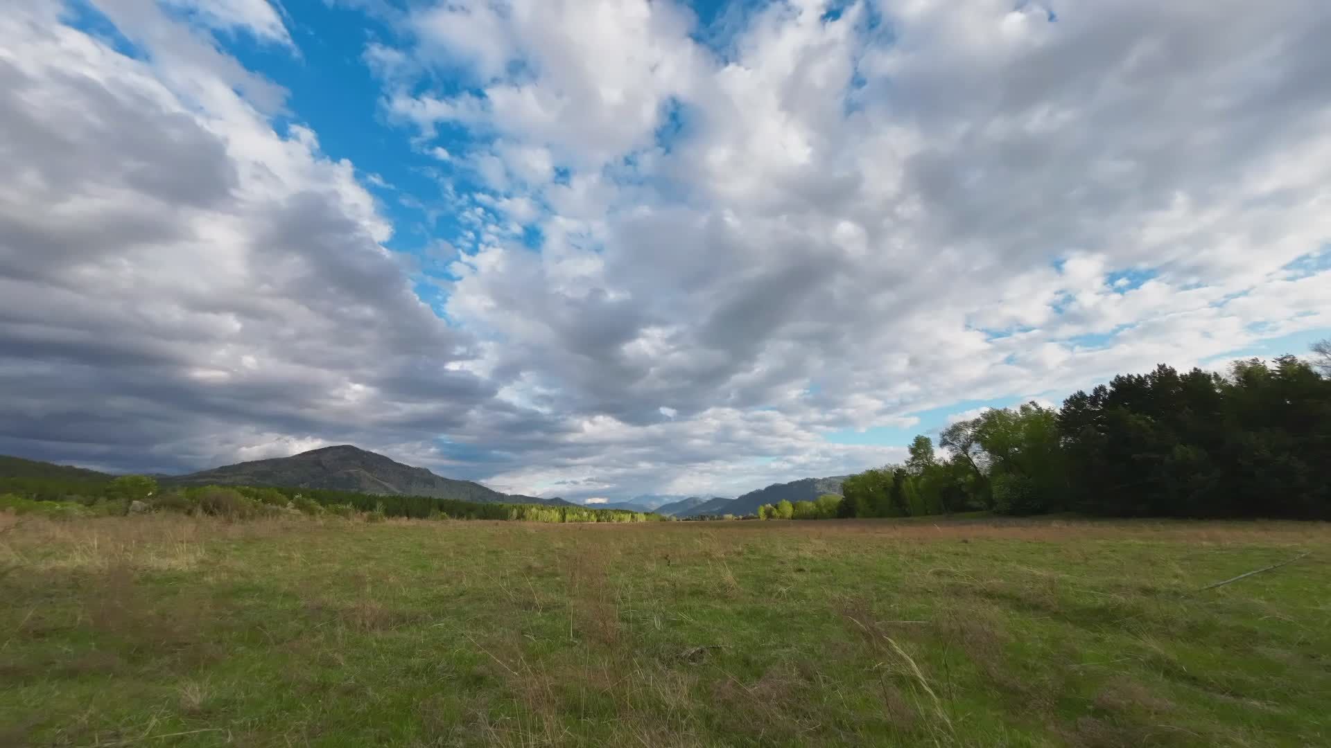Video by Dmitry Demidov