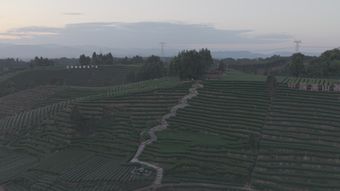 中国视频素材