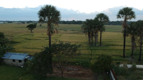 Aerial Footage Of The Farm Landscape