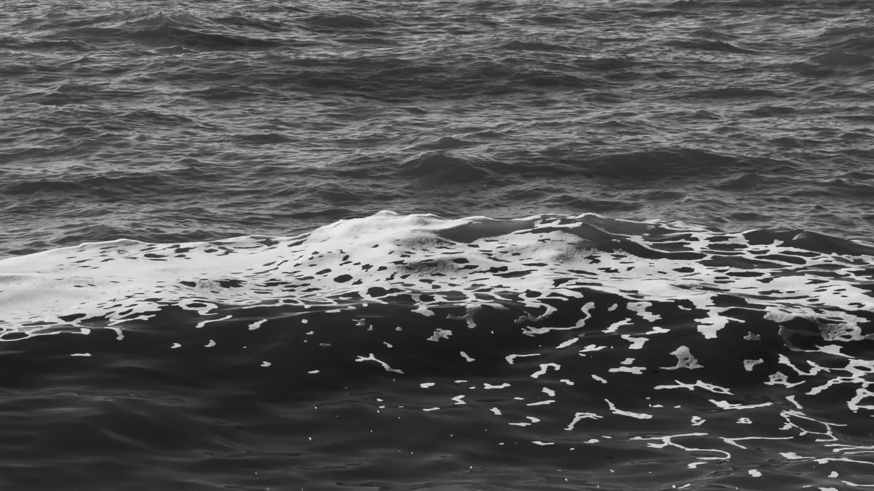 calm ocean waves in monochrome 38328535 — free pexels stock footage