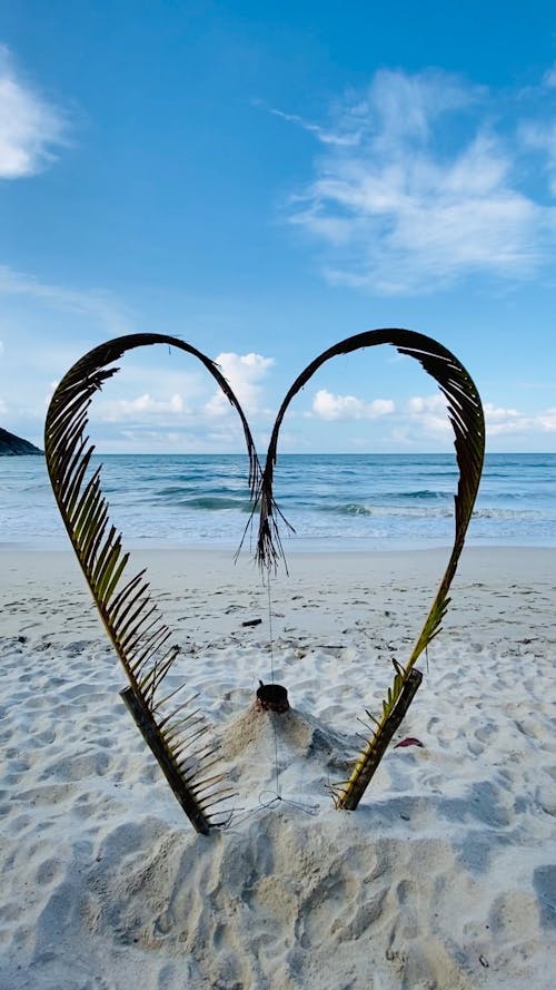 A Heart Shaped Made From Palm Leaves For Photo Shots Background 