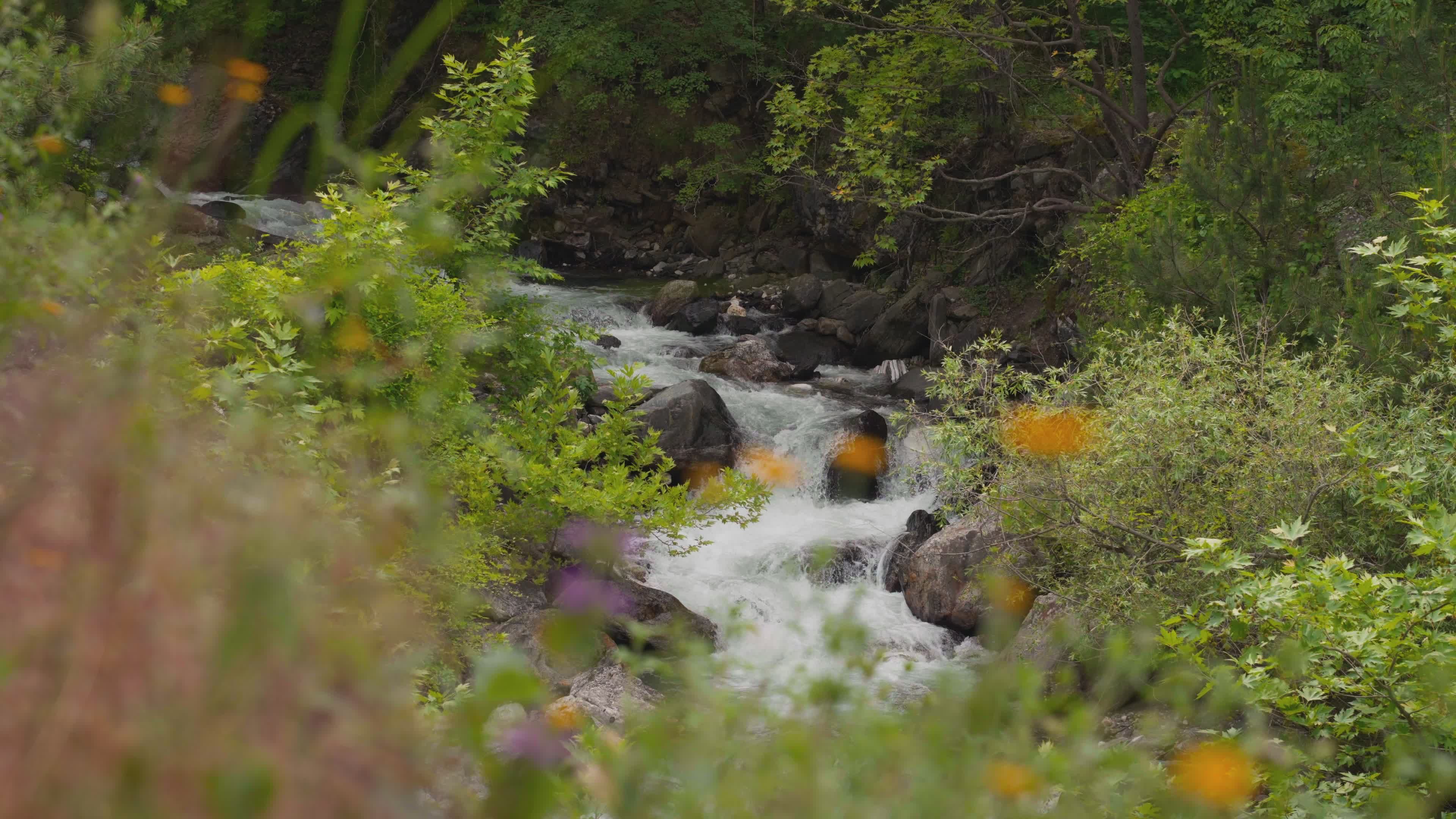 Video by Yasin Onuş