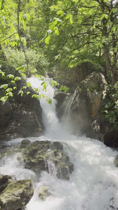 𝓶𝓾𝓱𝓪𝓶𝓶𝓮𝓽 𝓪𝓵𝓲's nature timelapse video