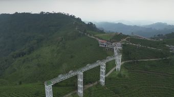 铁观音茶山 4K 航拍视频素材
