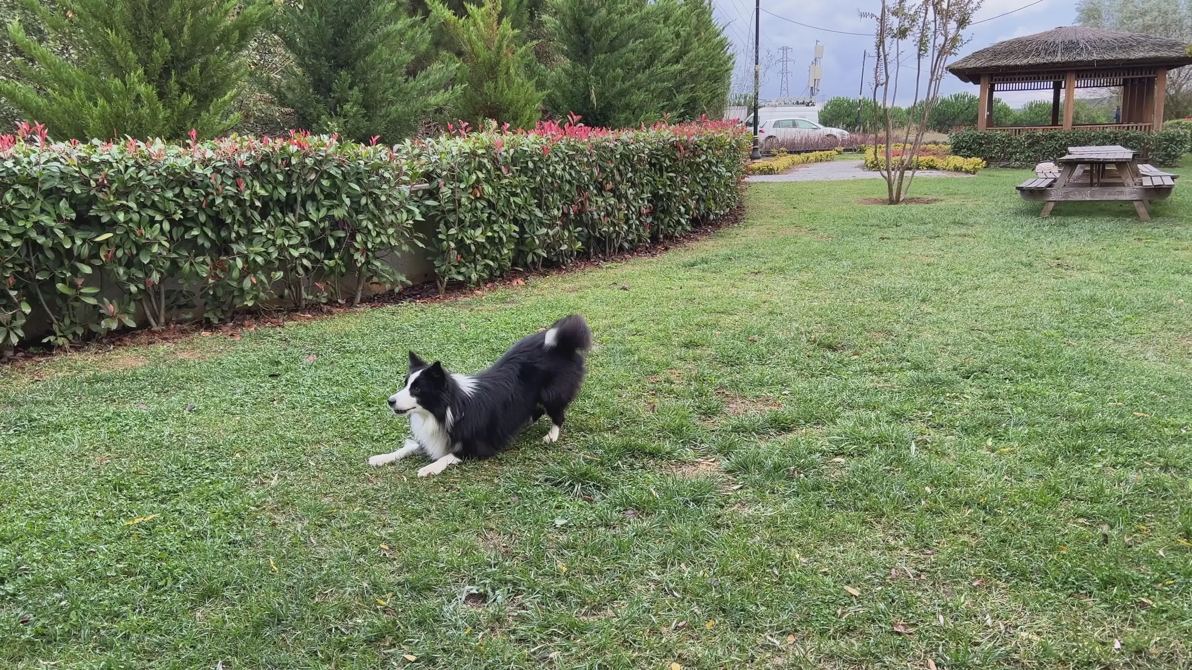 Video by Yesim  G. Ozdemir