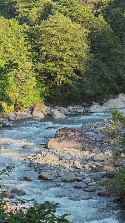 Sibel Kubaş's nature timelapse video