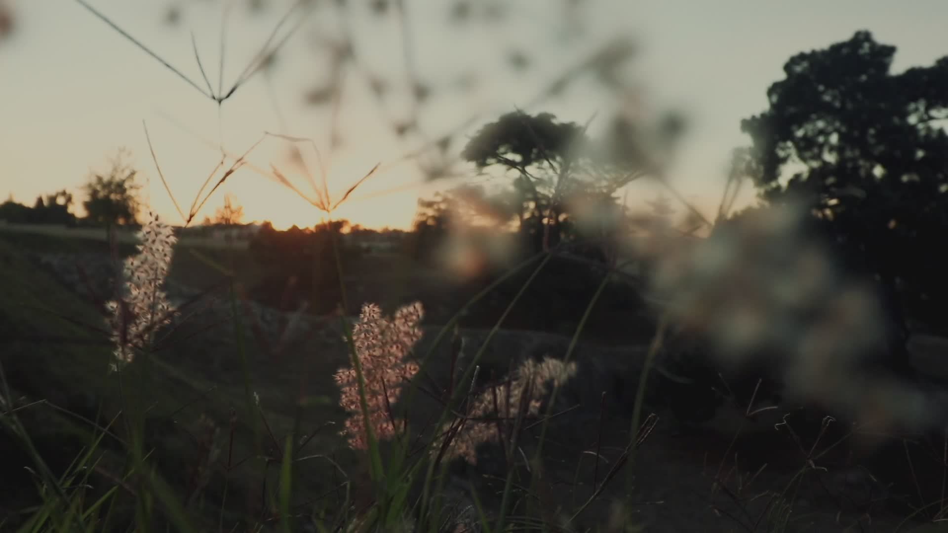 Video by Alejandro JV