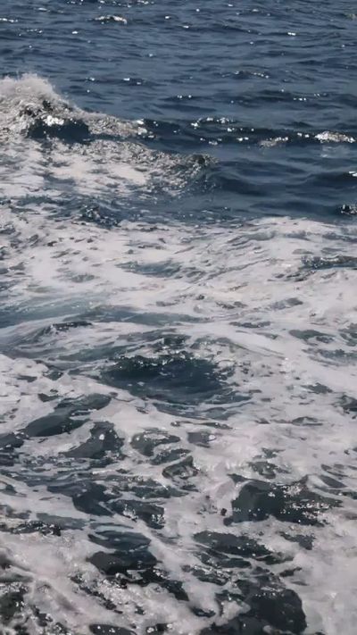 Melike's fluid simulation art video