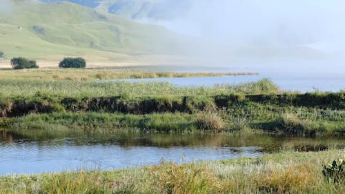 Thick Fogs Over The Lake In Early Morning