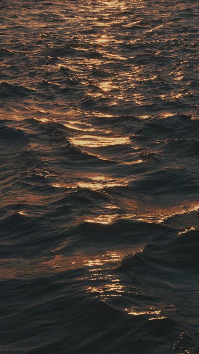 umut izgi's fluid simulation art video