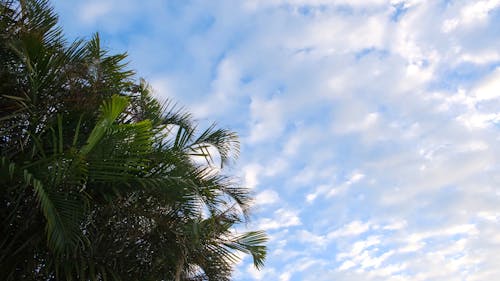 Movements Of The Clouds In Time Lapse