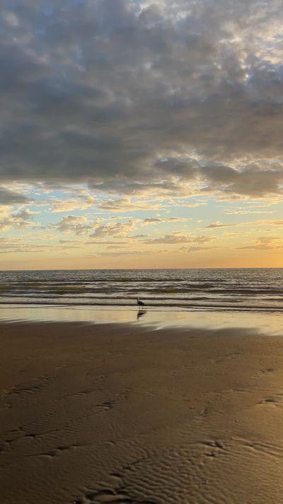 Karography's ocean waves sunset video