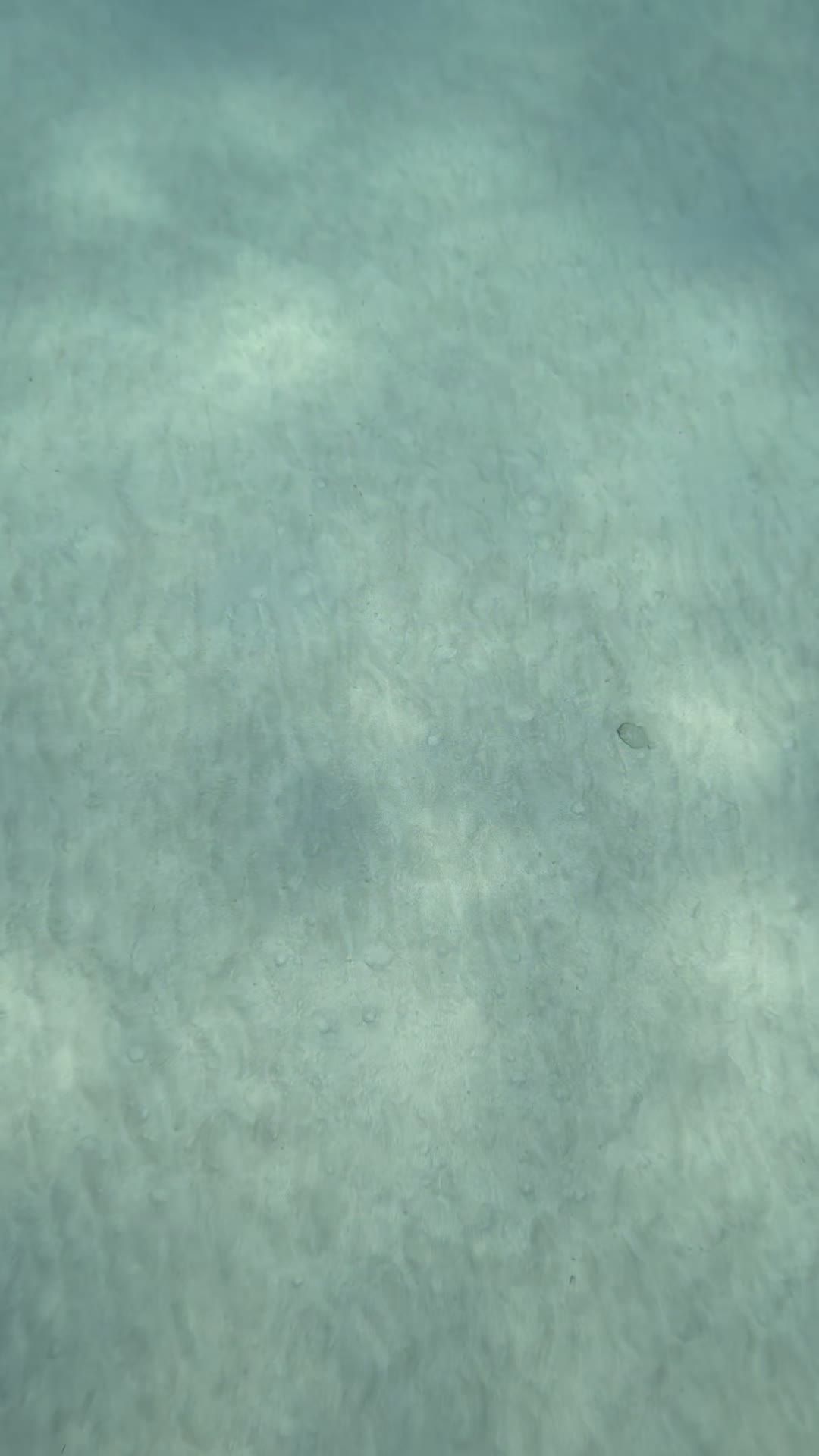 Video by dimitris  k