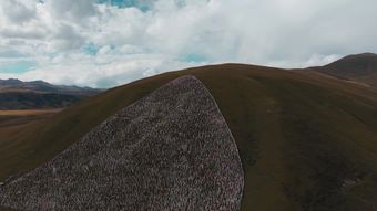 天山免费下载免费下载视频素材