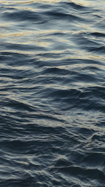 Betül  Üstün's fluid simulation art video