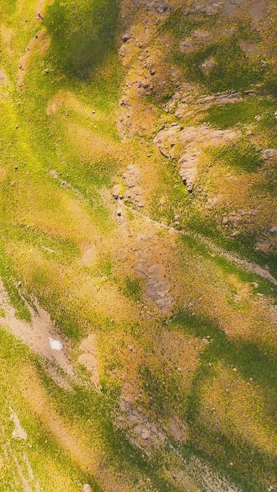 Onur Polat's nature timelapse video