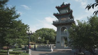中国学生高清视频视频素材