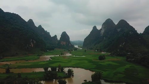 Tree Covered Mountains And Grassland