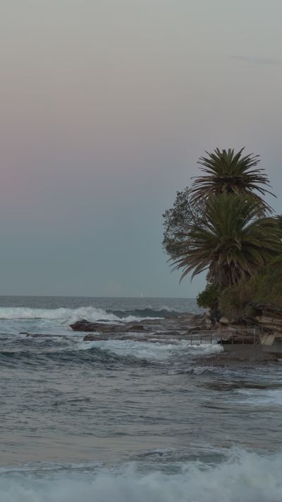 Manish Ratna Buddhacharya's ocean waves sunset video
