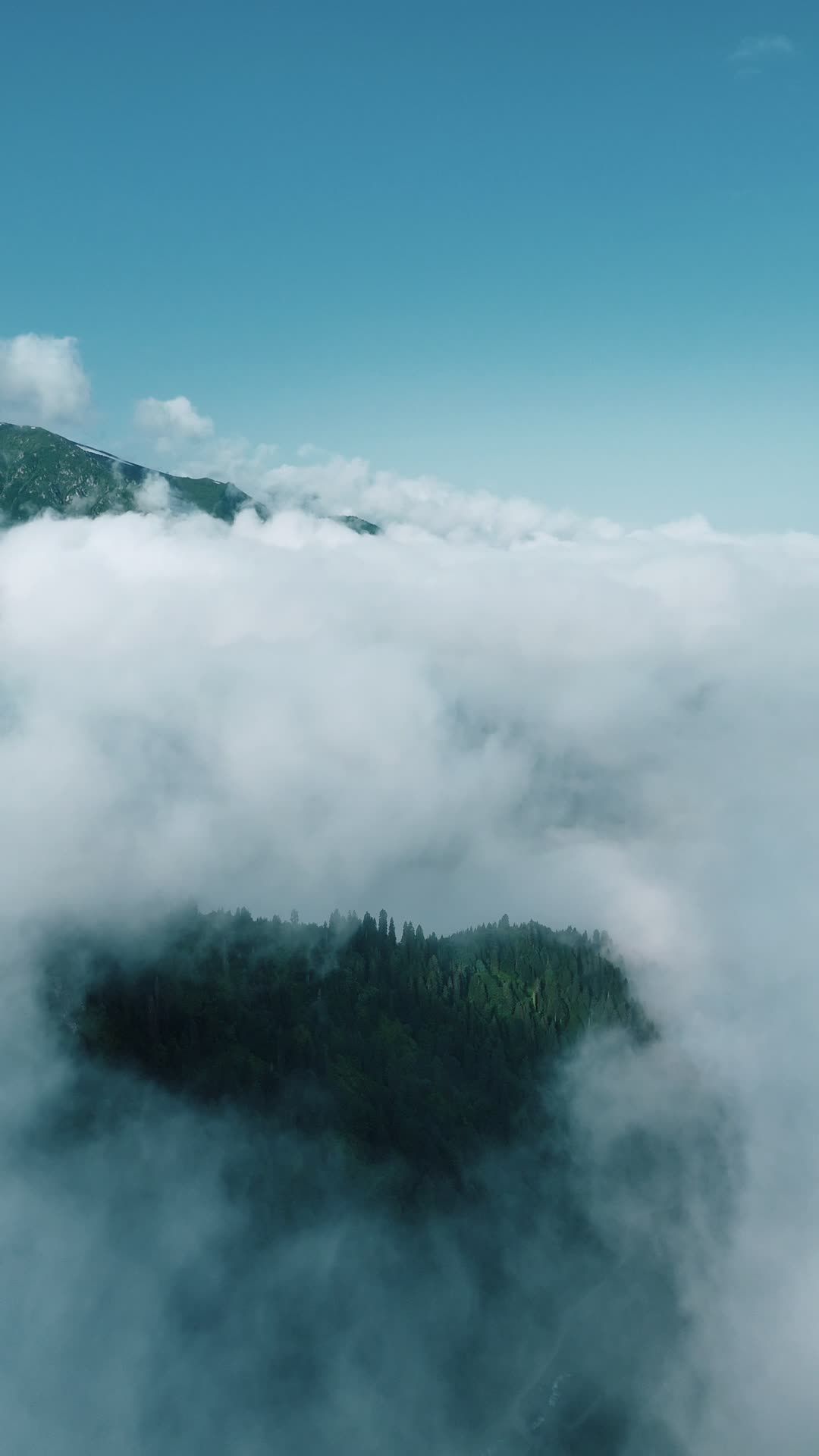 aerial view of forest covered by clouds 38542426 — free pexels stock footage