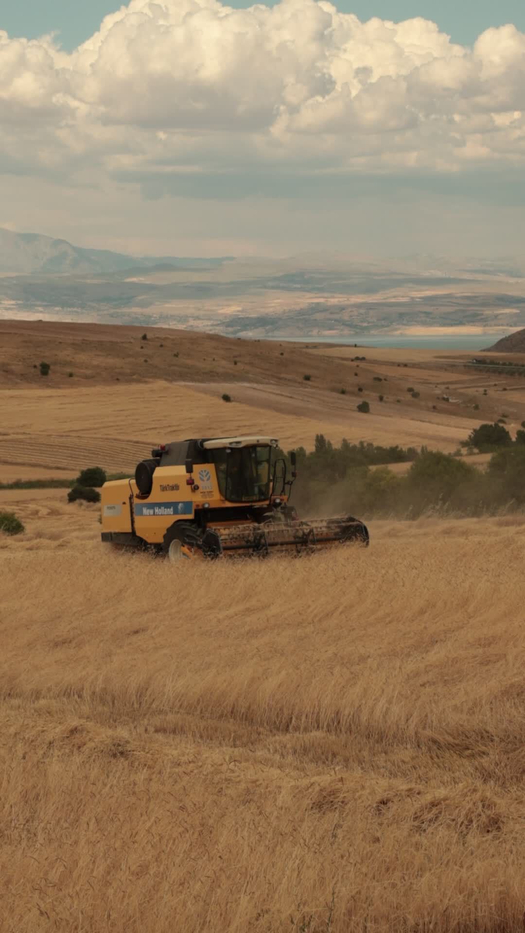 combine harvester in action on wheat farm 38555862 — free pexels stock footage