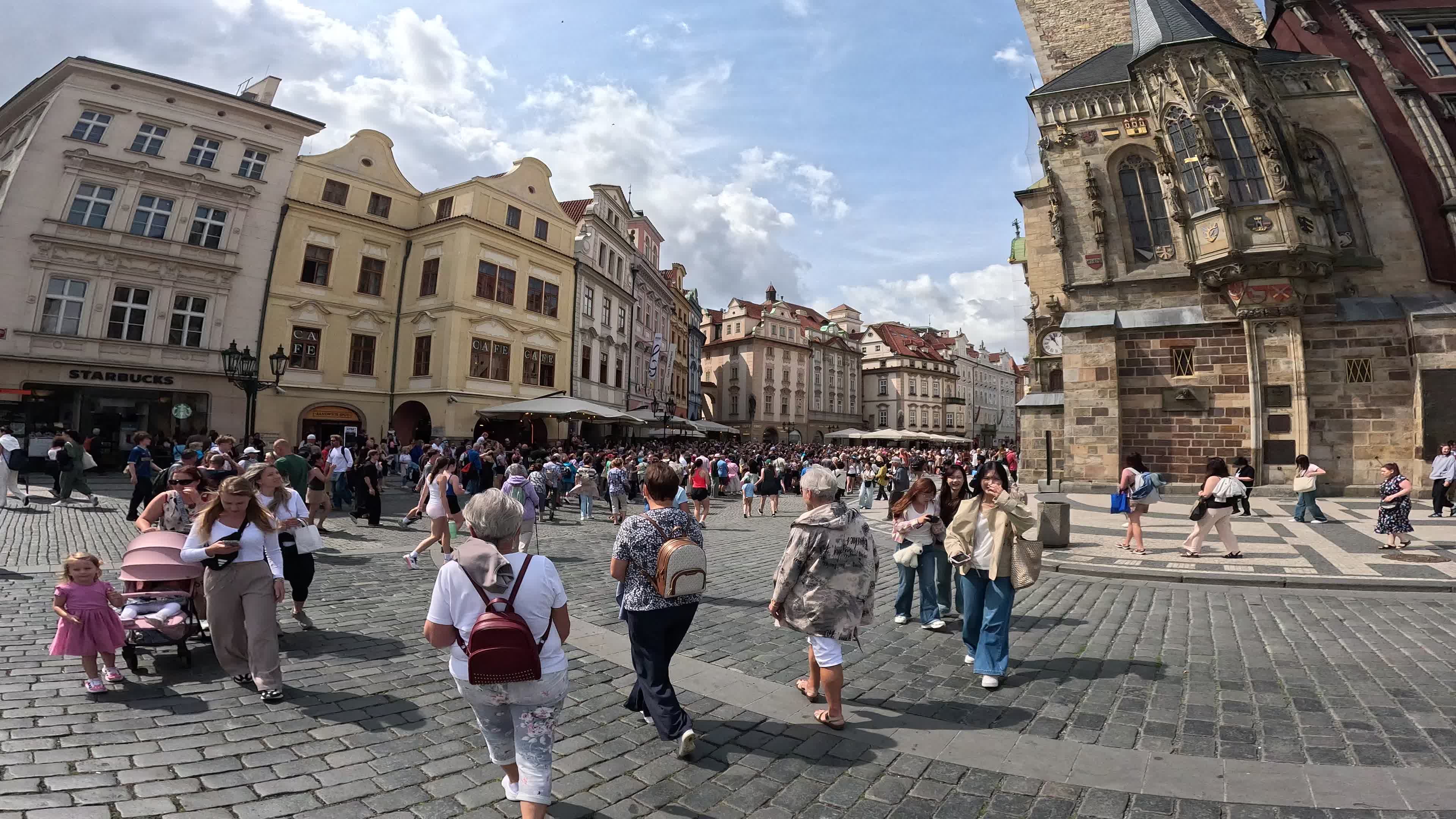 Video by Samborskaya Anastasia