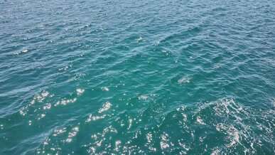 calm ocean waves under bright sunlight