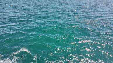 serene blue ocean waves captured from above
