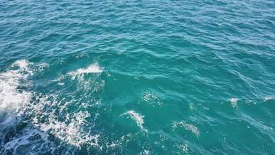 serene ocean waves captured on a sunny day
