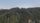 forest view