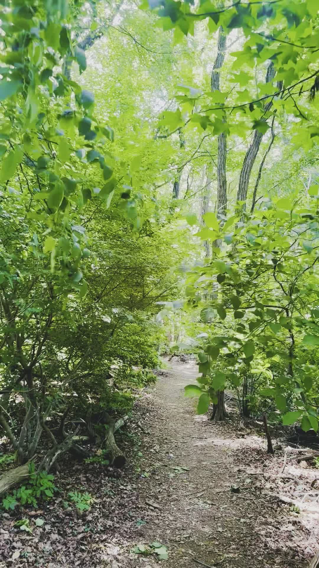Video by Vicky B