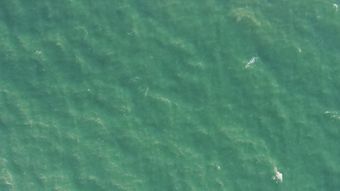 海面航拍高清视频免费下载免费下载高清视频视频素材