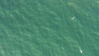 top view footage of the sea waves