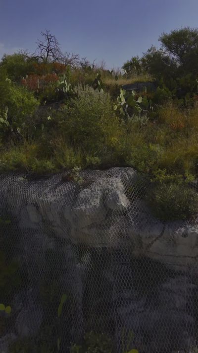 Nicoló Monterotondo's nature timelapse video