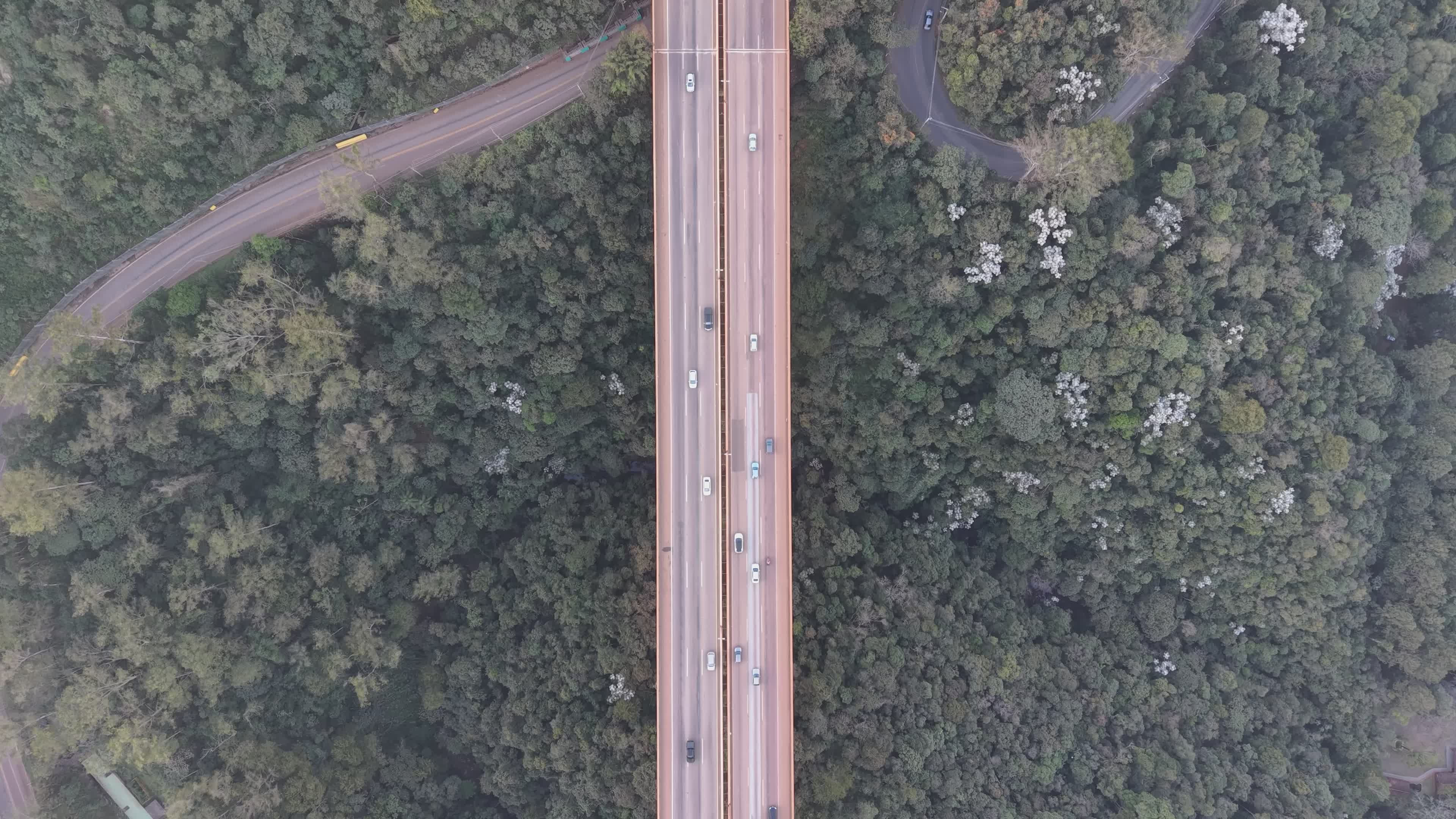 scenic aerial view of forest and highway 38603540 — free pexels stock footage