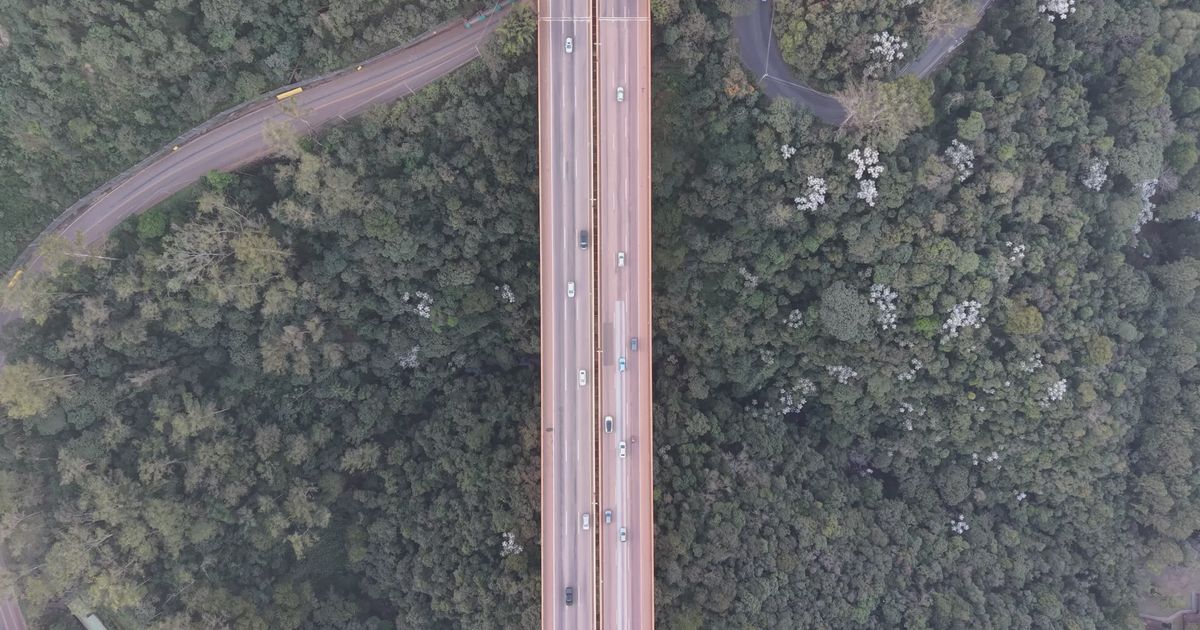 scenic aerial view of forest and highway 38603540 — free pexels stock footage